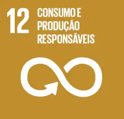 ODS 12